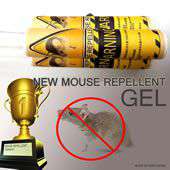 �X���ѹ�����GEL (�L�r�L�`)